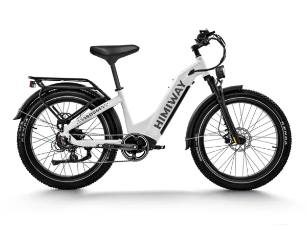 Zebra D5 ST Ebike 750w 20mph