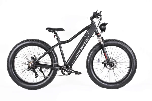 26" Steed Ebike 800w 20mph