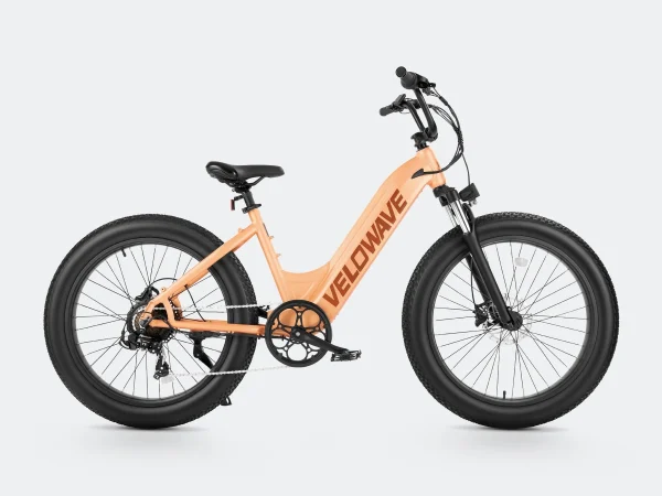 Rover Step-Thru Ebike 28mph