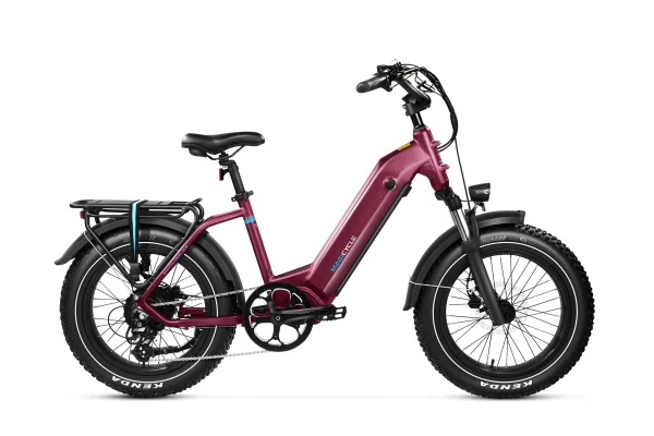 Ocelot Pro 2.0 Torque Sensor Electric Bike 750w 28mph
