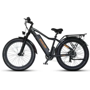 S11 Fat Tire Mountain Ebike 750w 22mph
