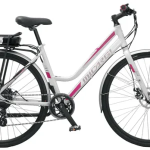 Pluto Ebike 350w 23mph
