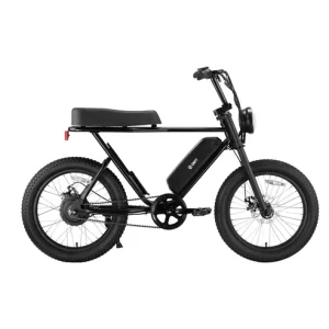 Z.X Compact All Terrain Eectric Bike 20mph