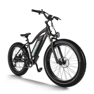Cruiser D3 Electric Bike 1200w 25mph