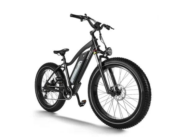 Cruiser D3 Electric Bike 1200w 25mph