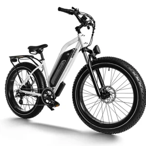 D3 Cruiser ST E-Bike 750w 25mph