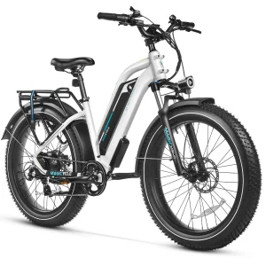 Cruiser Pro Mid Step Thru Electric Bike 750w 27mph