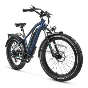 Cruiser Pro Step Over Ebike 750w 28mph