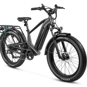 Deer Step Thru Full Suspension Ebike 750w 28mph