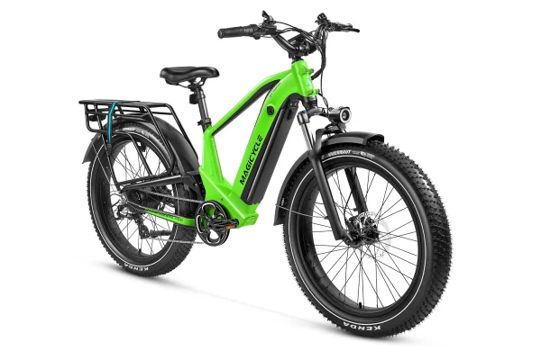 Deer Stepover Full Suspension Electric Bike 750w 28mph