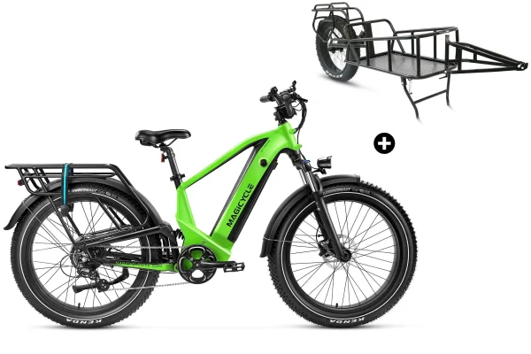Deer Step Thru Full Suspension Ebike 750w 28mph