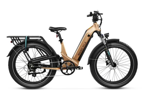 Deer Step Thru Full Suspension Ebike 750w 28mph