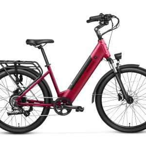 CT 1 Commuter Torque Sensor Urban Electric Bike 750w 25mph