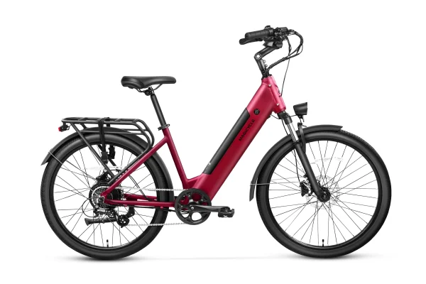 CT 1 Commuter Torque Sensor Urban Electric Bike 750w 25mph