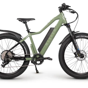 Peak T5 High-Performance Electric Bike 25mph 500w